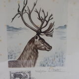 J. Combet Southern Lands Lithography, Limited Series, numbered 233 out of 1500, vintage 1987