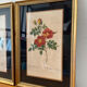 Pair of vintage botanical frames in gilded wood