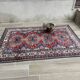Carpet wool and silk 188x121cm