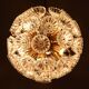 Space Age Sputnik ceiling chandelier/ceiling lamp with crystal flowers, Germany, 1970s