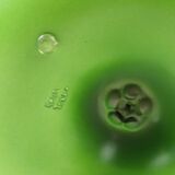 Green apple cores de terra design ceramic decorative garden