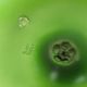 Green apple cores de terra design ceramic decorative garden