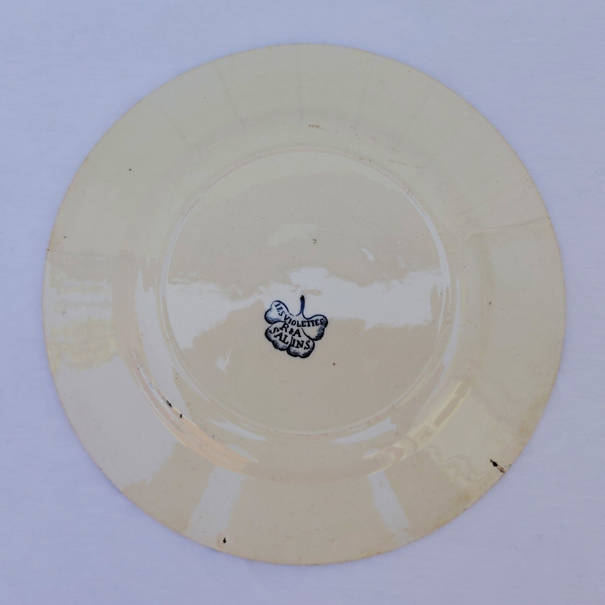 Plates, the salt shakers model the violets, ironstone.
