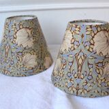 2 Art Nouveau lampshades with green flowers