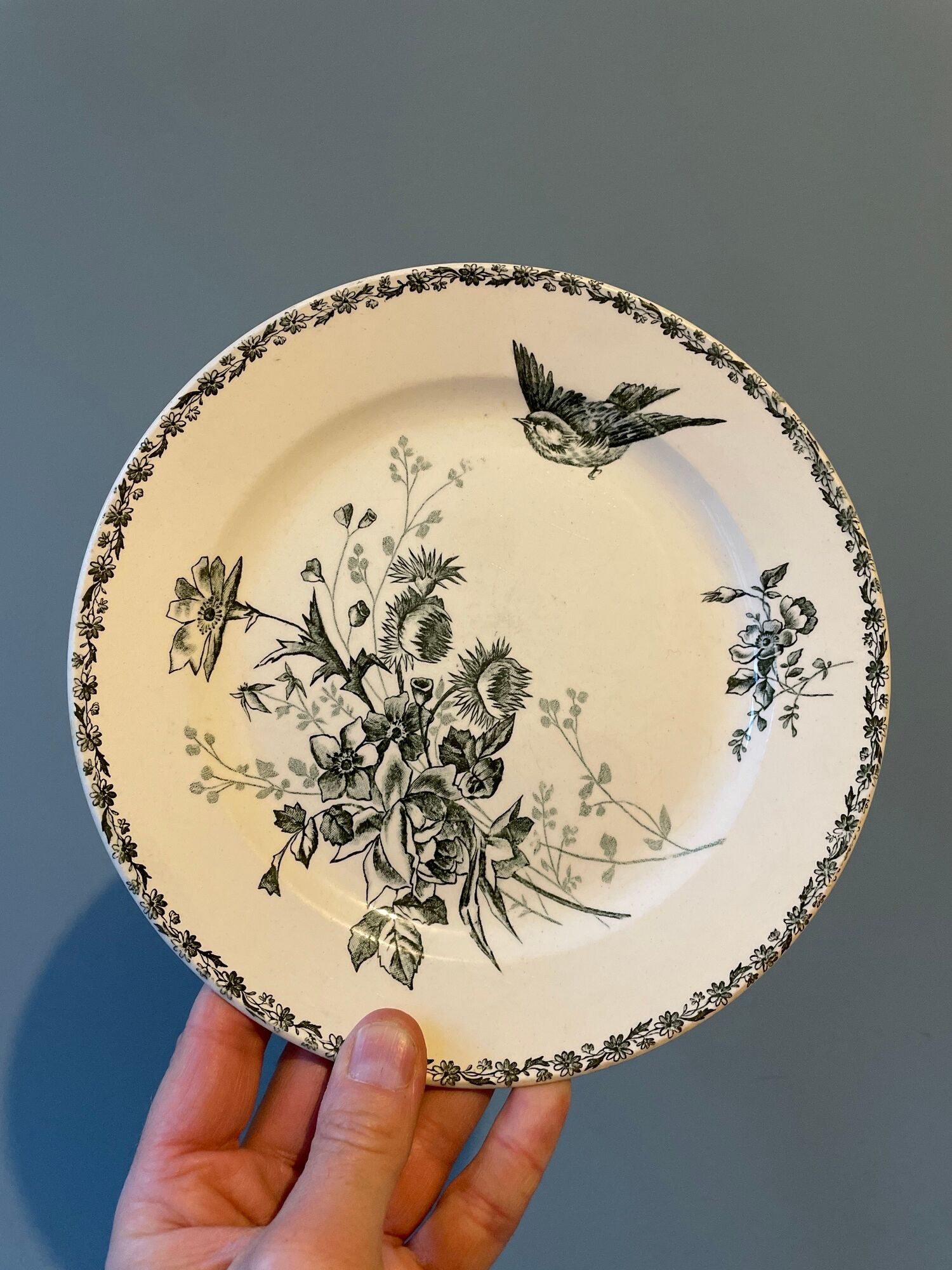 Set of 12 Terre de Fer dessert plates Grand Dépôt E.Bourgeois