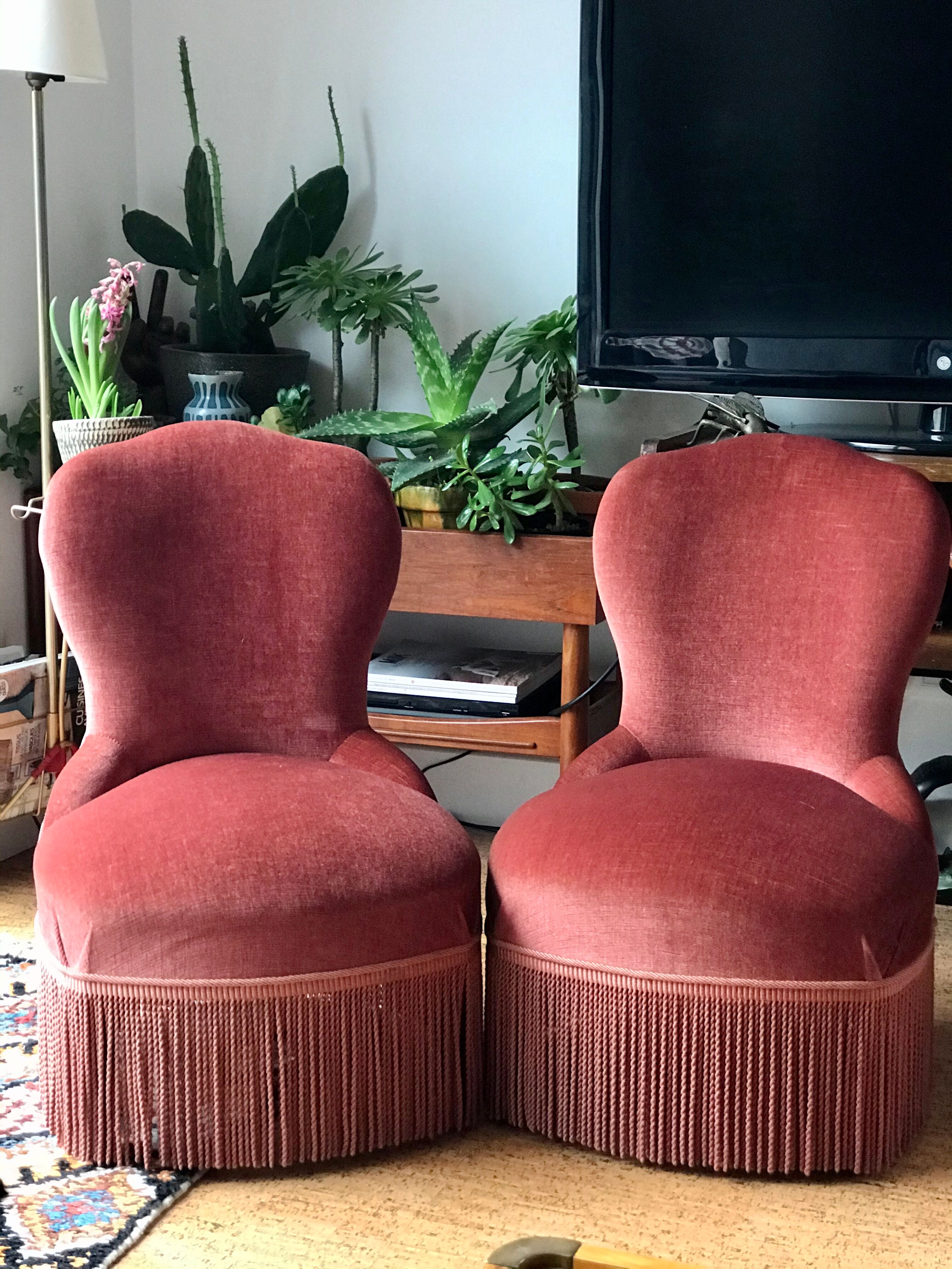Pair of velvet armchairs