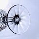 10 Nachtmann crystal wine glasses from the "Angélique" collection