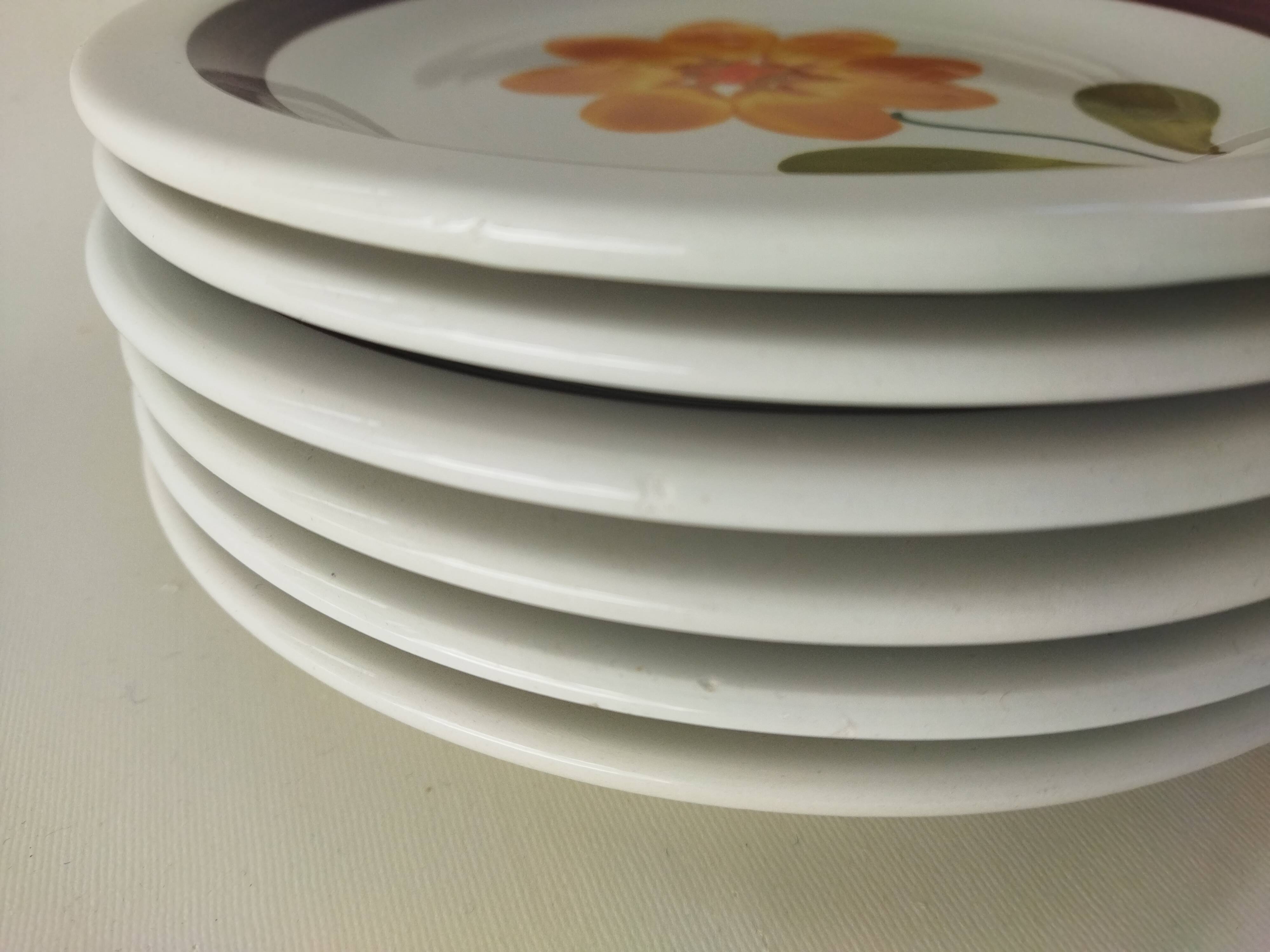 6 plates in vintage Italian earthenware 1970