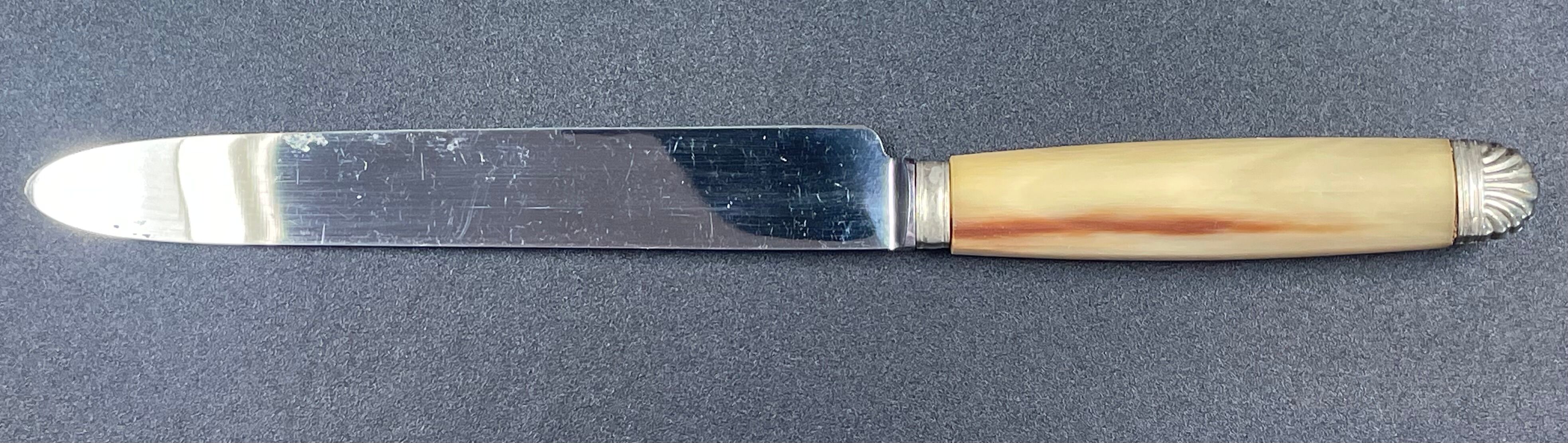 Box 12 stainless steel knives art deco horn