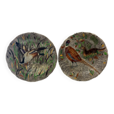 Earthenware plates from gien rambouillet 1955
