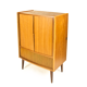 Roller shutter cabinet, denmark, 1960s
