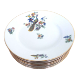 6 flat porcelain plates peacock