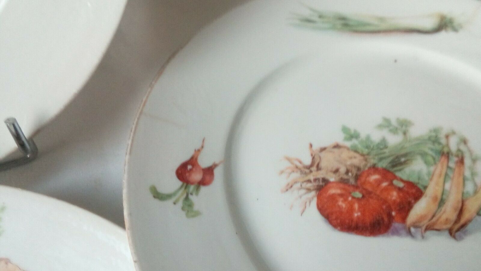 6 FLAT PORCELAIN PLATES THICK DECOR VEGETABLES 4 SEASONS