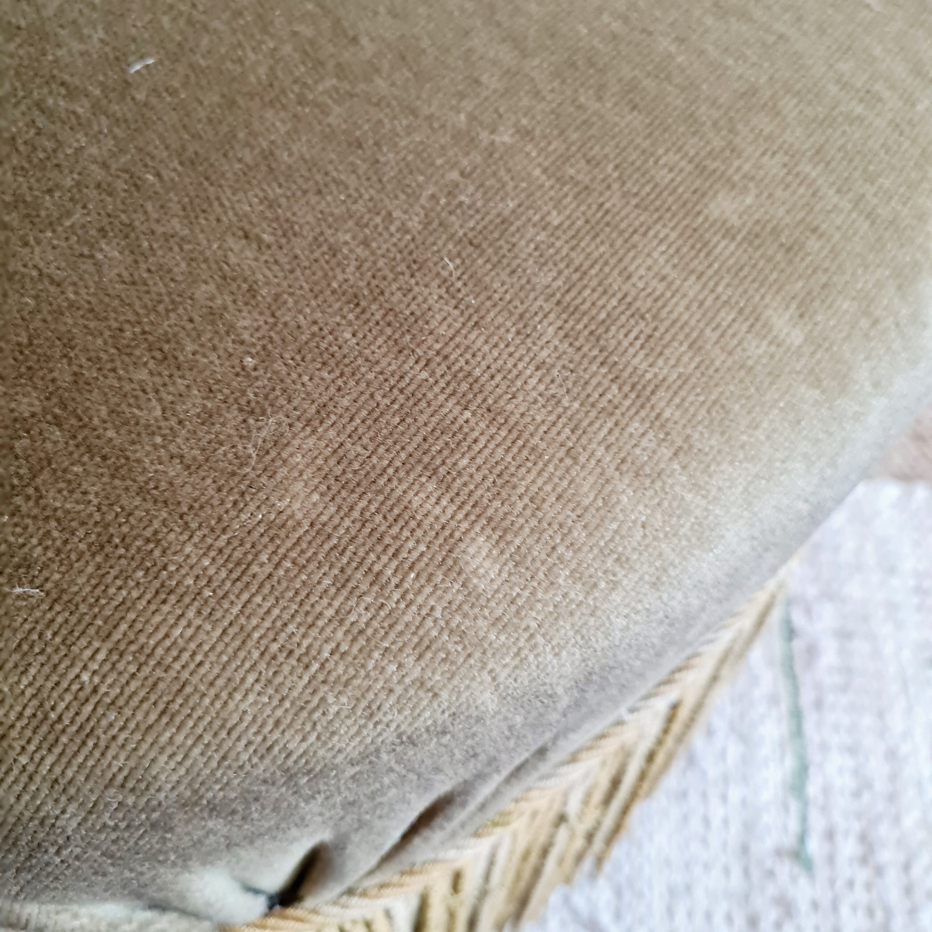 Bronze green velvet toad armchair