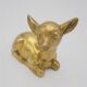 Fawn brass