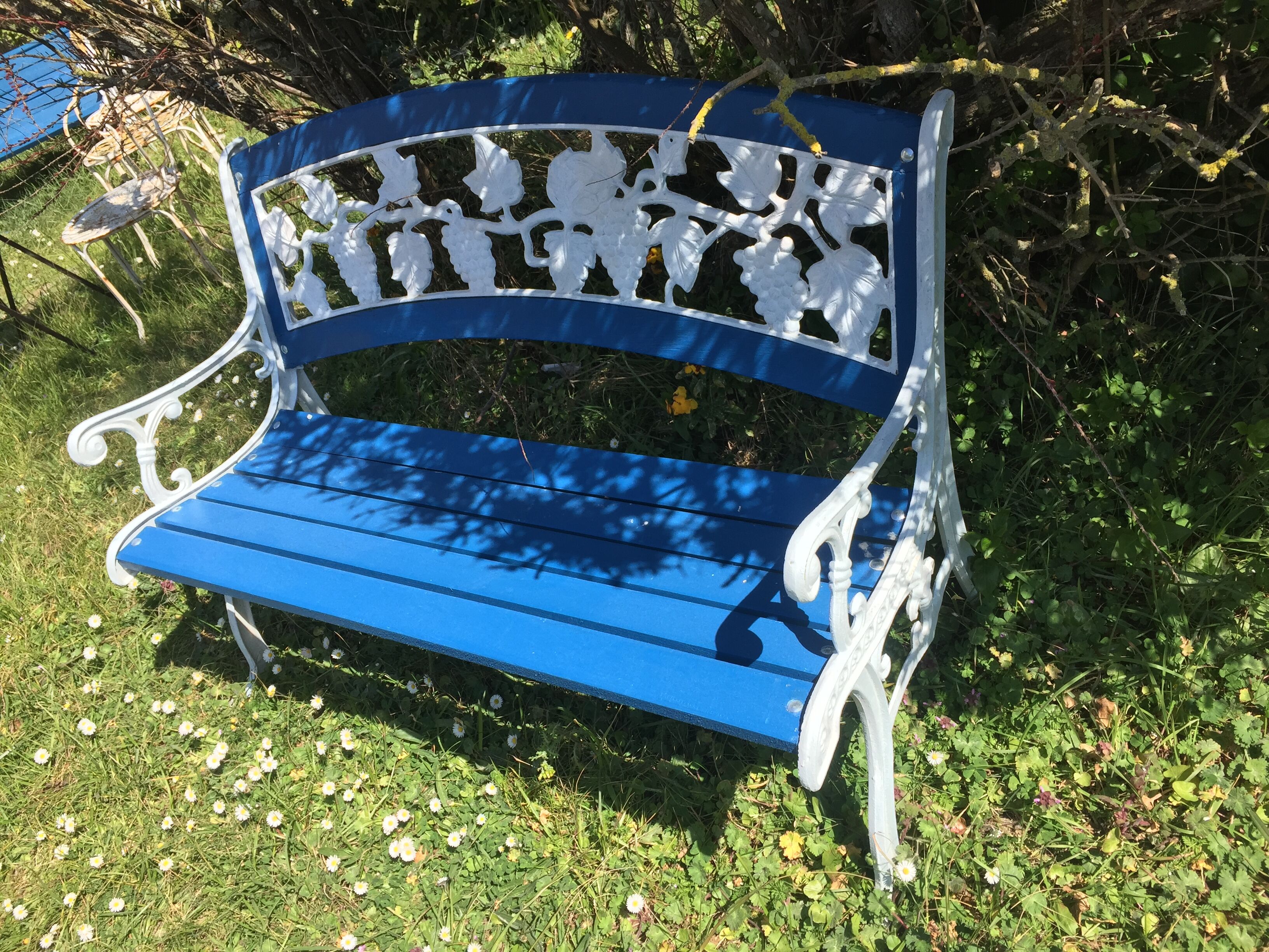 Wood garden bench and iron cast iron. Grape clusters