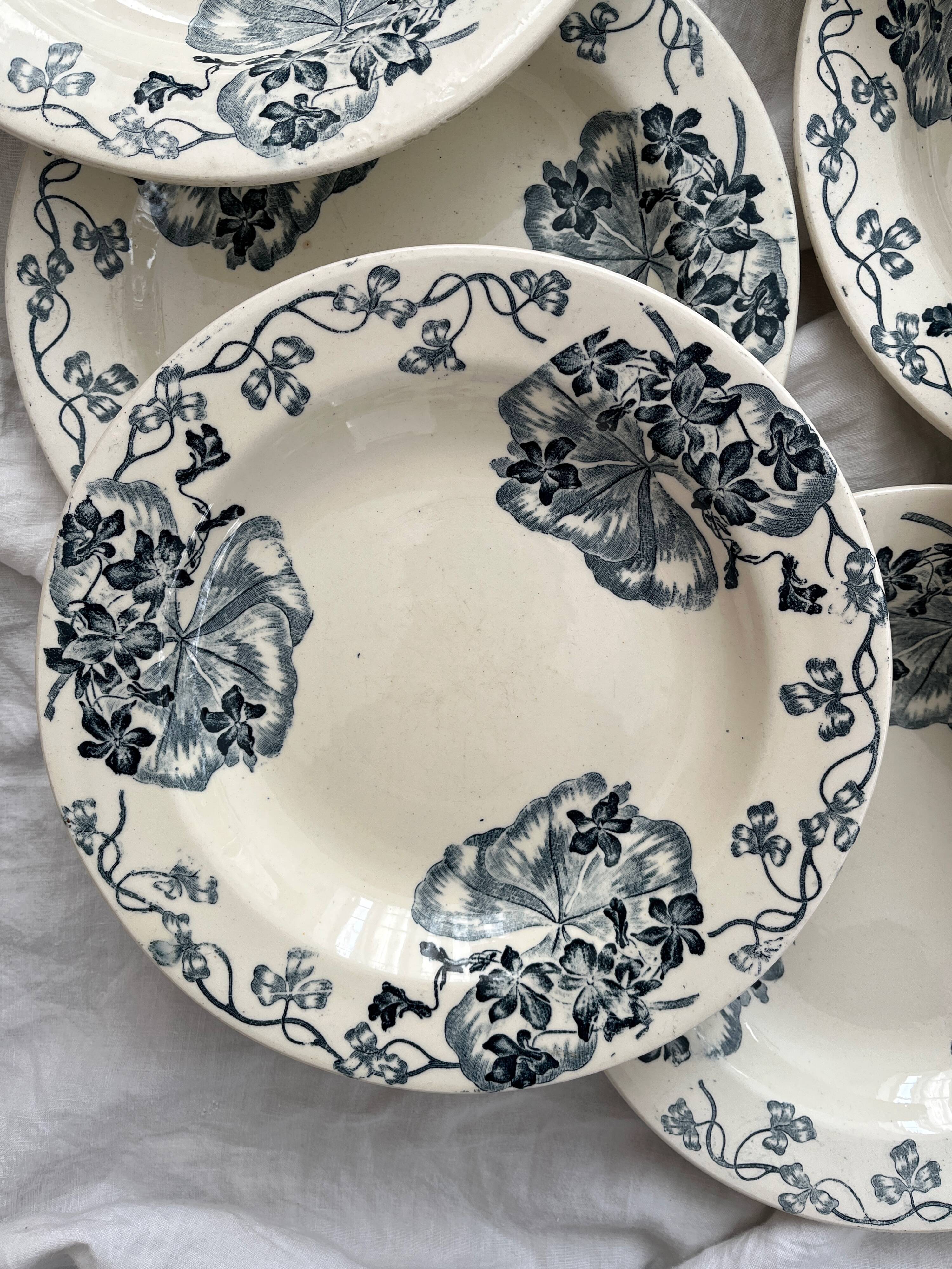 8 ironstone soup plates "Les Violettes" Salins