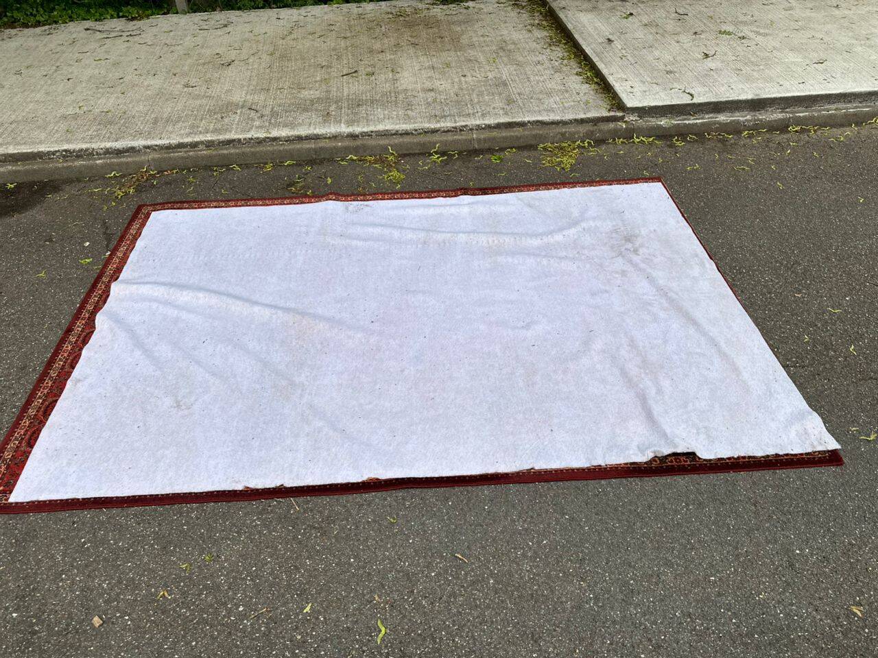 Bordeaux Bakhtiari Persian rug in industrial wool 200x300cm