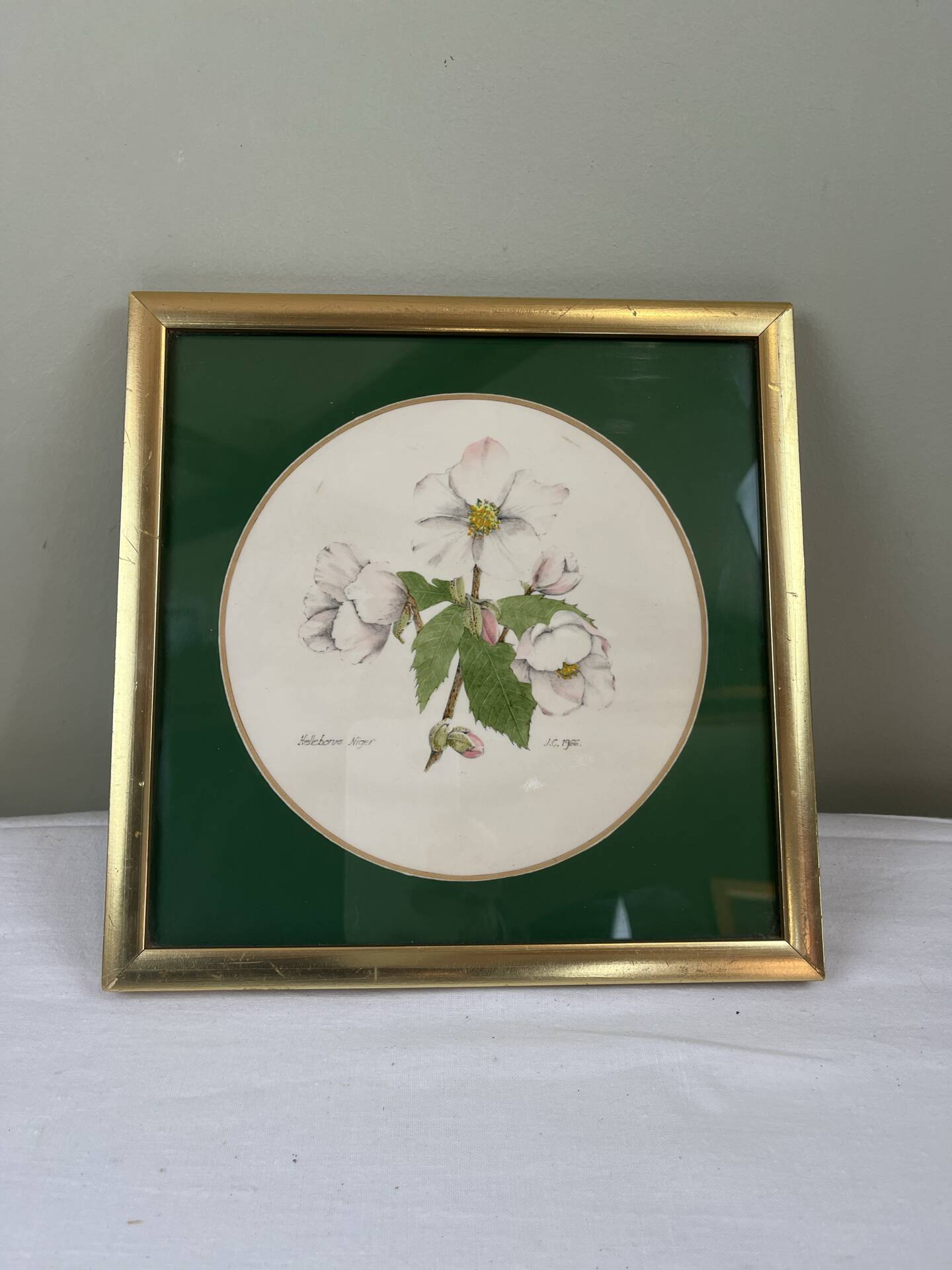 Hand-enhanced botanical plate