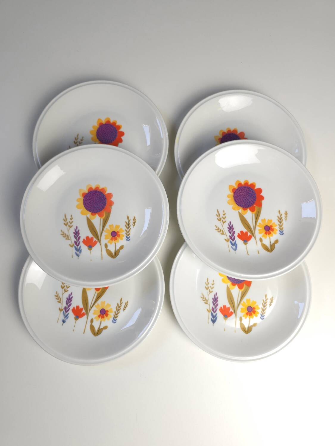 6 Porcelain dessert plates Sologne 1970