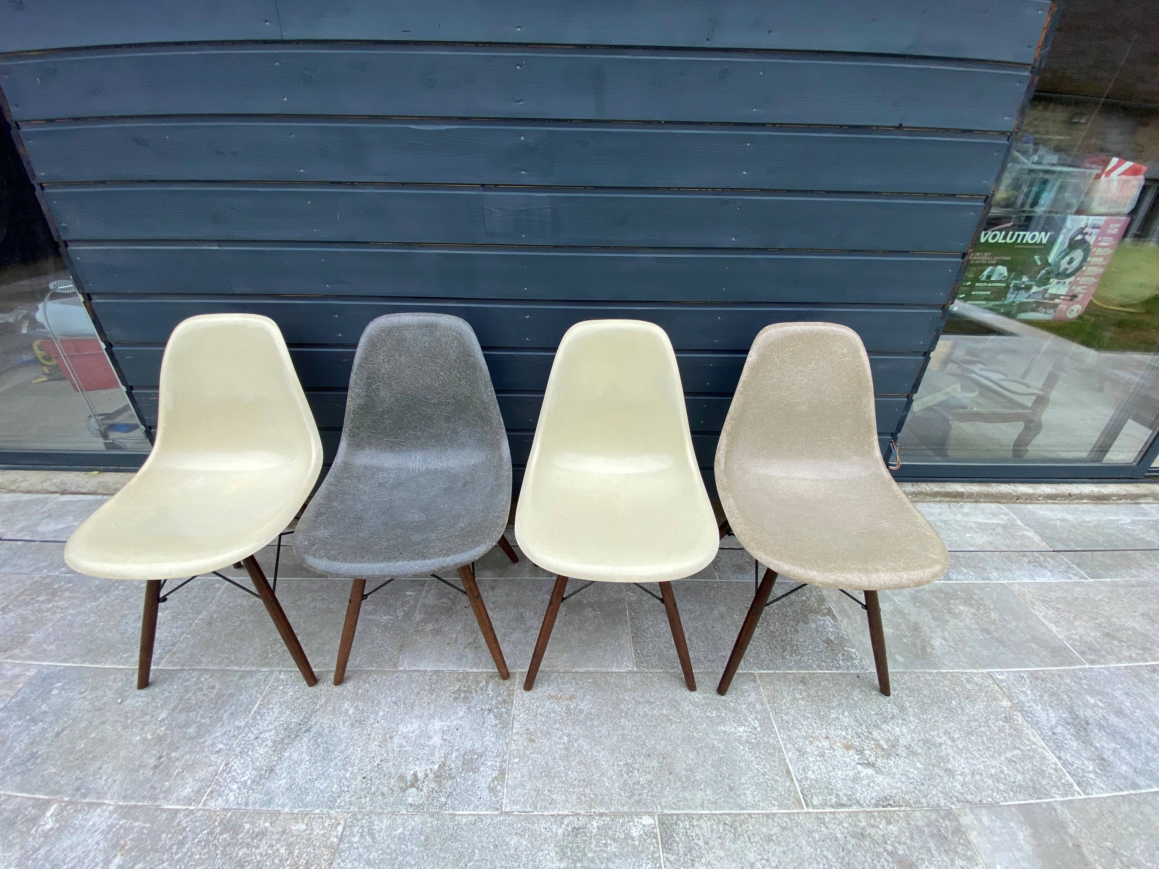 Lot of 4 DSW chairs in walnut fiber by Eames Herman Miller, vintage