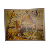 School map deer deer fawn 24 and rabbits and fox