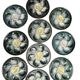 Set of 10 Saint Clément oyster barbotine plates circa 1940