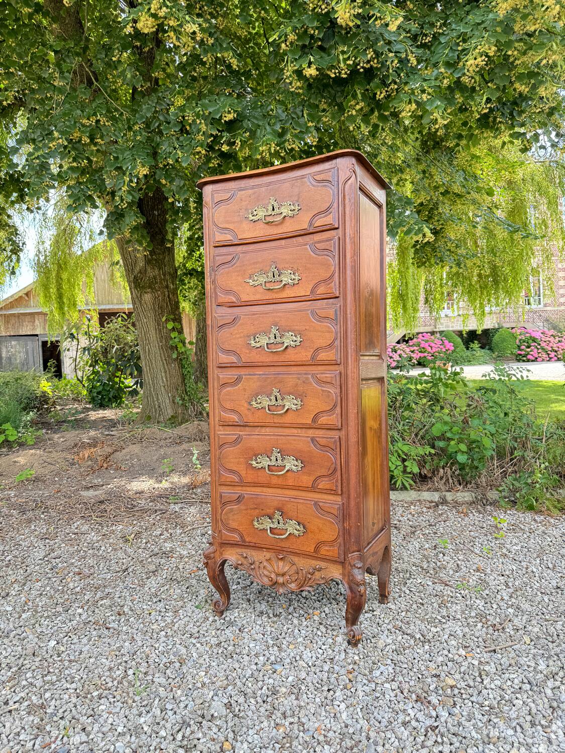 Chiffonnier En Noyer De Style Régence XIX Eme Siècle