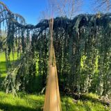 Tipi bamboo and rattan floor lamp