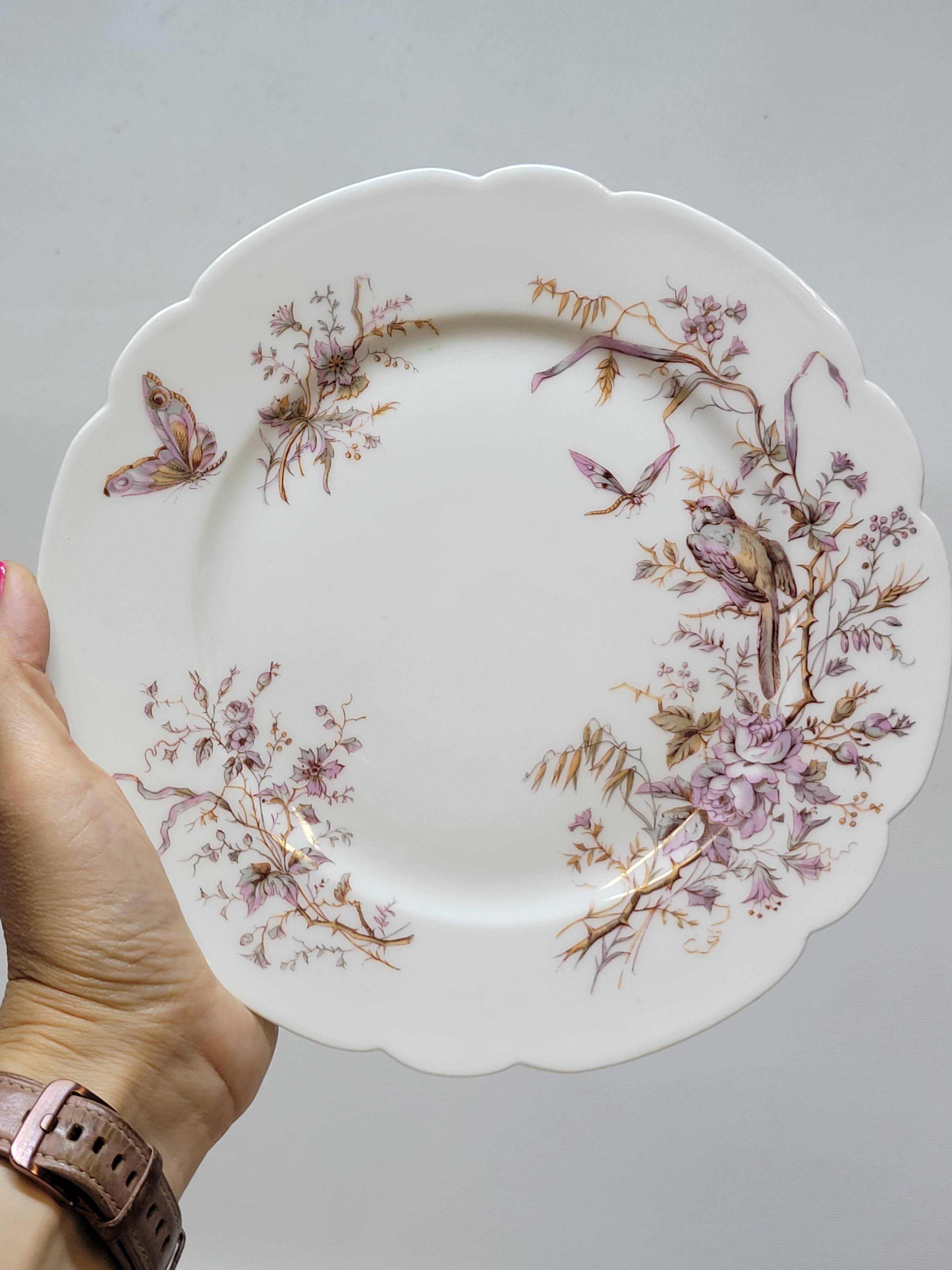 6 Superb Antique 19th Century White Porcelain Plates with Bird Decor