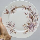 6 Superbes Assiettes Anciennes XIXème En Porcelaine Blanche Décor Oiseaux