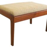 Deense voetenbank 'Arnborg'