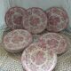 10 antique dinner plates