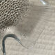 Set of 8 vintage fish plates Arcoroc France