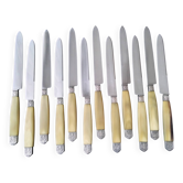 Set of 12 antique table knives in stainless steel and bovine horn