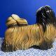 Italian Majolica Shitzu Dog Sculpture by Bravo Italy 1970