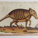 Pair of reproductions of the Codex Pomar of Natural History, Valencia, 1990
