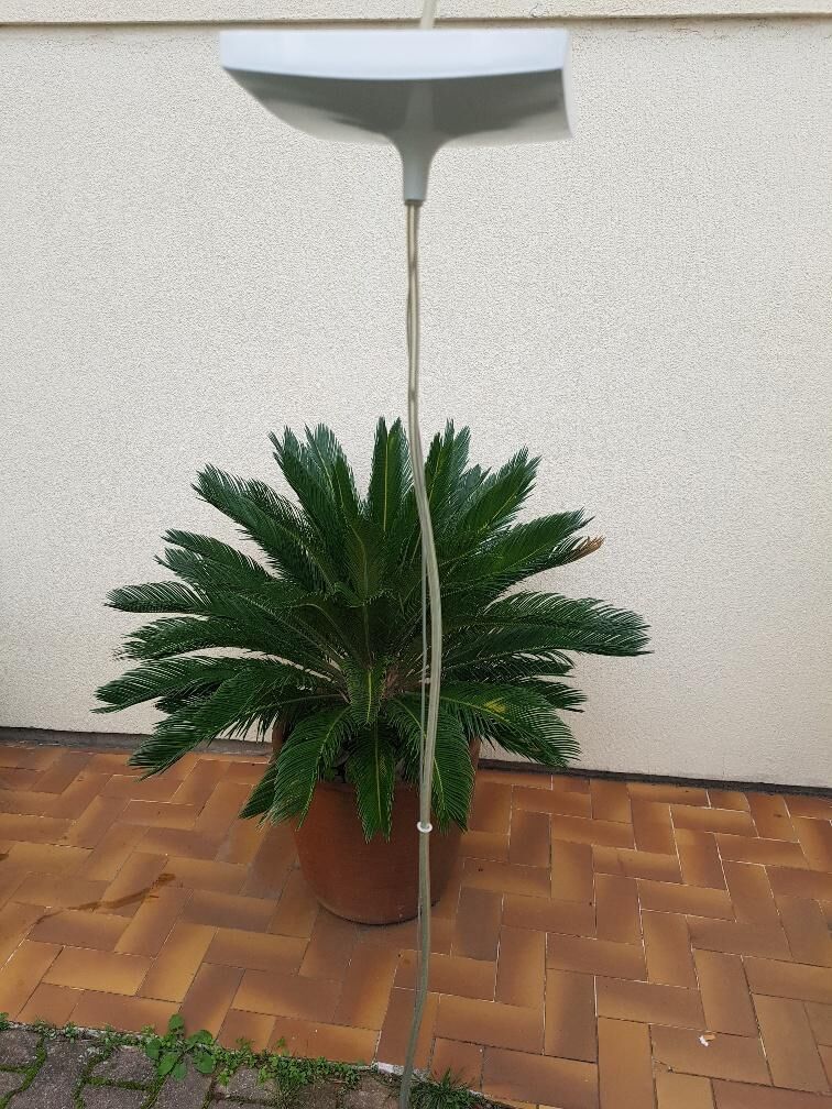 2 Easy Kartell suspension lamps