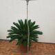 2 Easy Kartell suspension lamps
