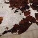 Rug, Large cowhide with fairly long hair - Vintage 70's Tannerie Barjols