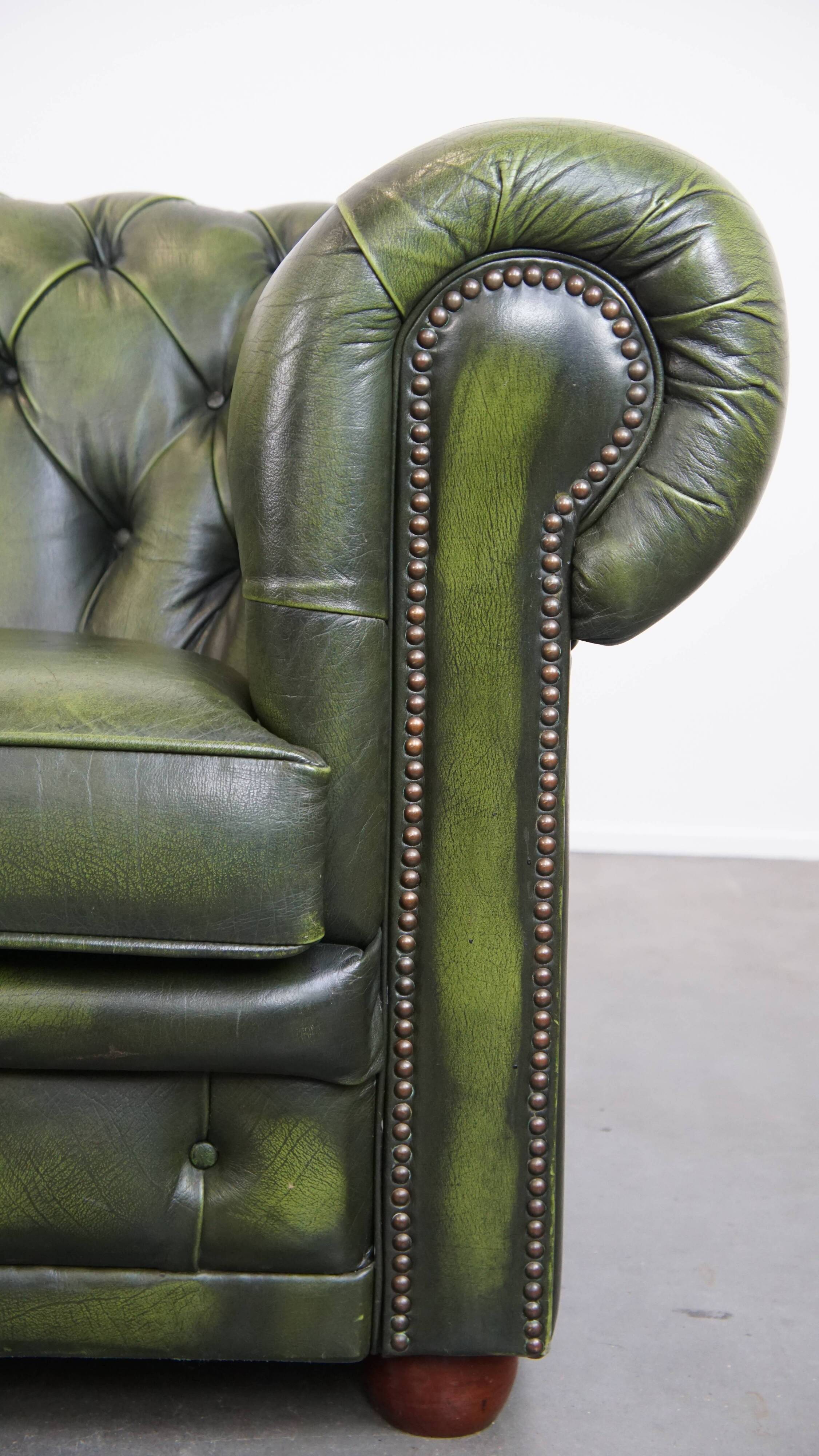 English Chesterfield 2-seater sofa in green cowhide leather
