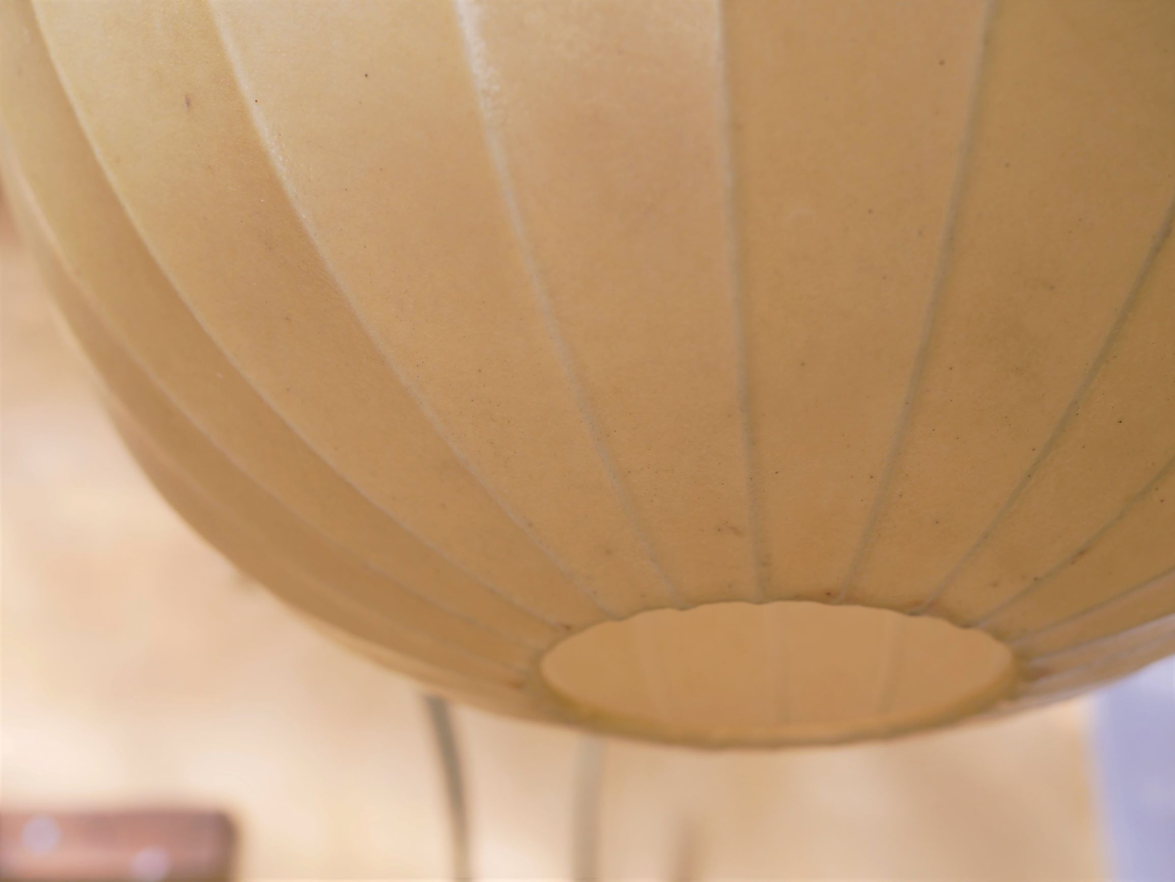 Hanging "Cocoon", 60 years