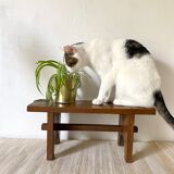 Low stool or wooden plant holder