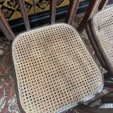 Set of 5 Thonet chairs number 41