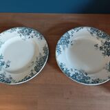 Plates earth of iron