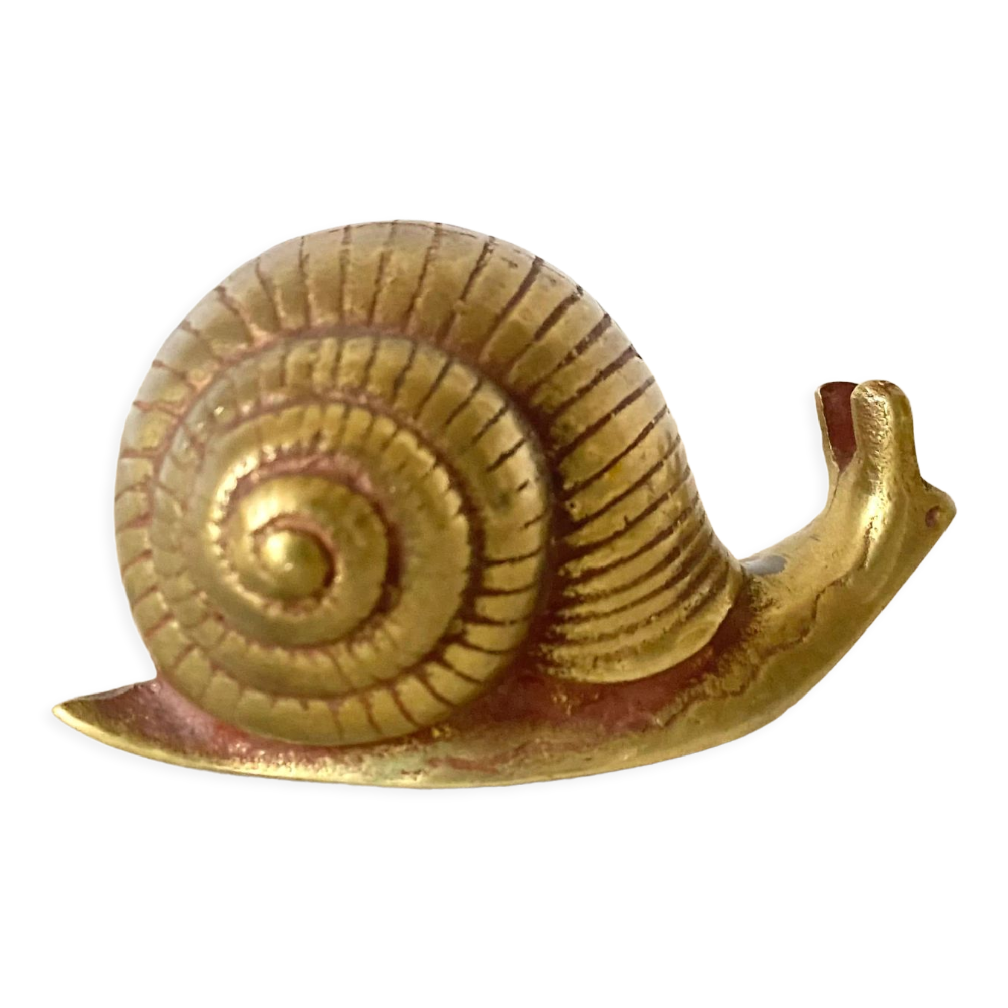 Golden brass snail