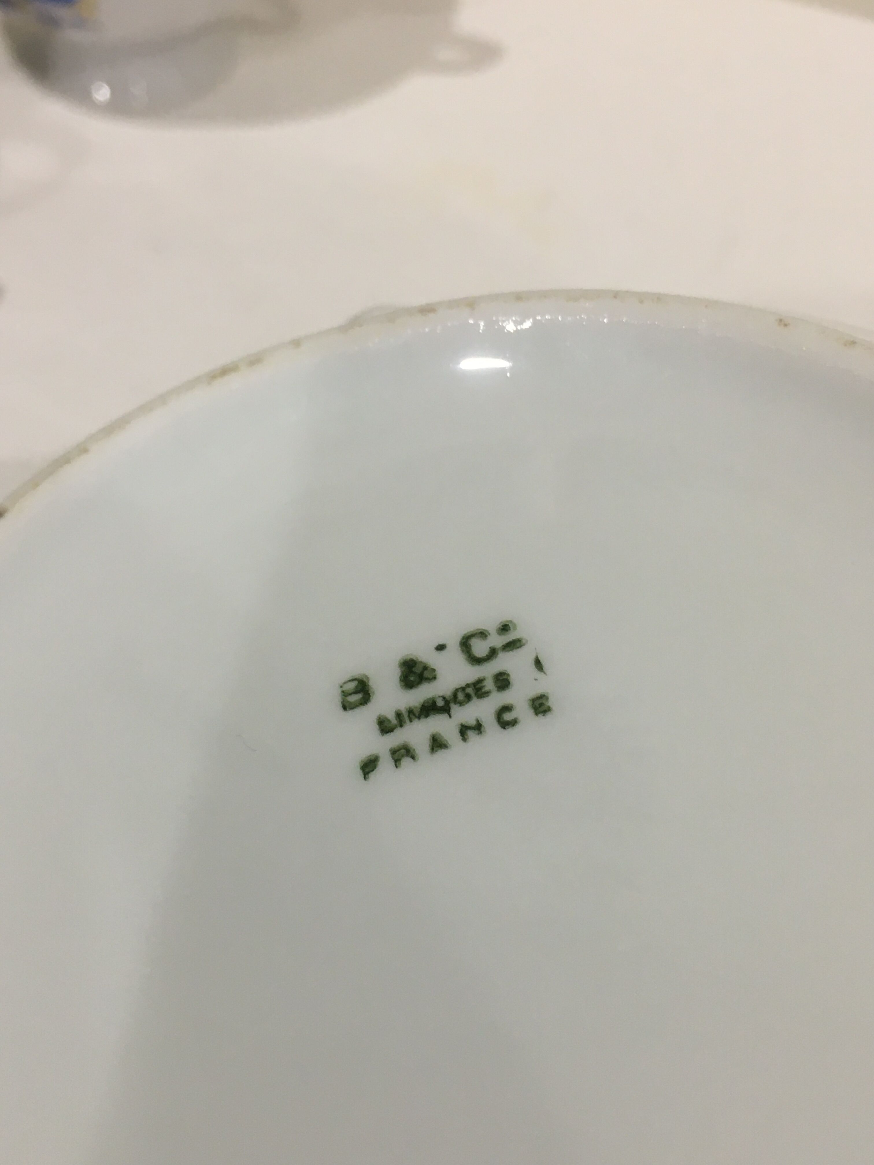 White teapot Bernardaud