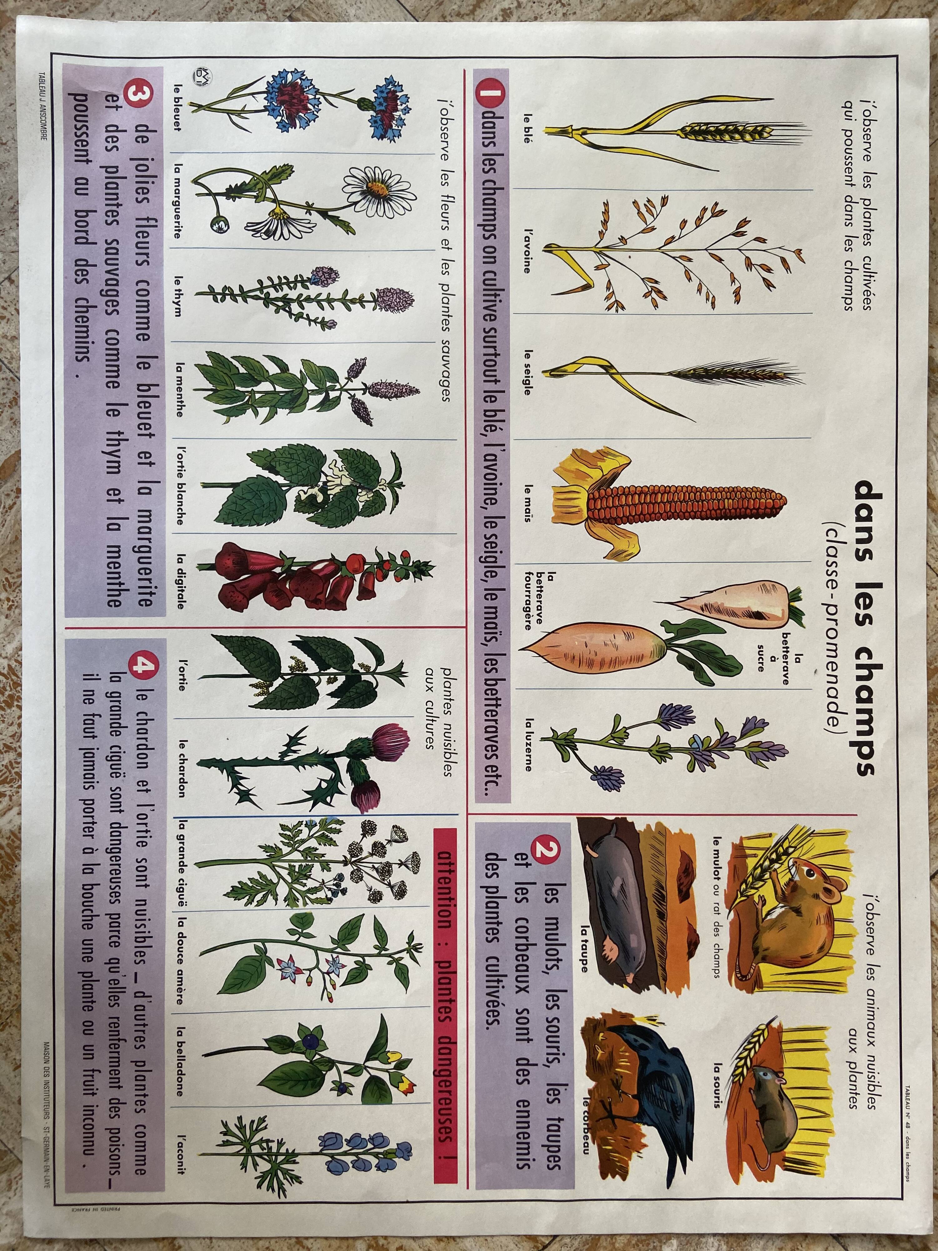 Old vintage school poster