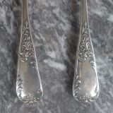 Silver metal salad cutlery