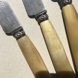 Old cheese knives or other use